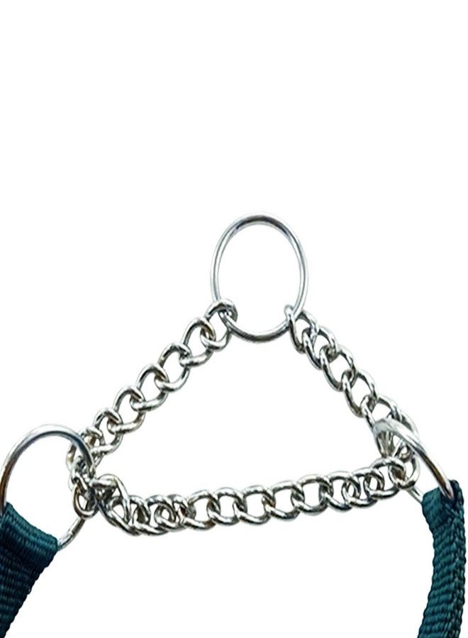 DIY Crafts Pack of 3 Pcs, Green, Nylon Belt Dog (Pack of 3 Pcs, Green) - Image 2